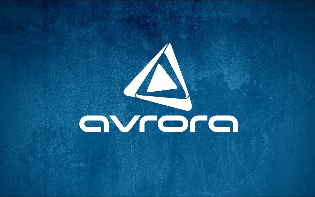 “Avrora Qrup” aztəminatlı ailələrə bayram sovqatı çatdırıb - FOTOLAR